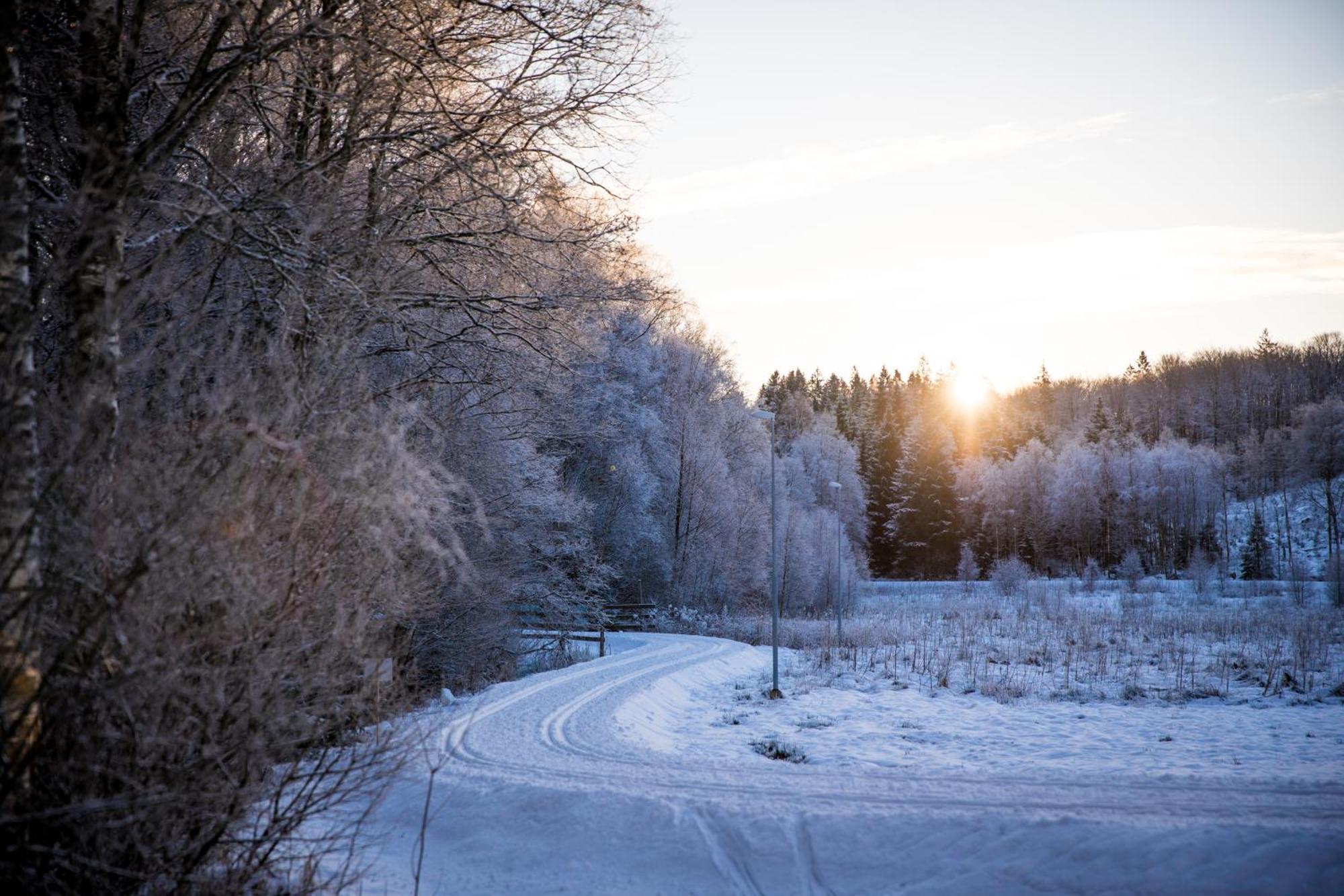 Akulla Outdoor Resort Rolfstorp Exteriér fotografie