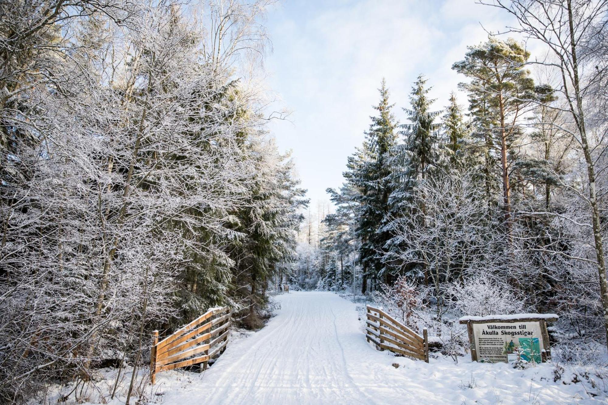 Akulla Outdoor Resort Rolfstorp Exteriér fotografie